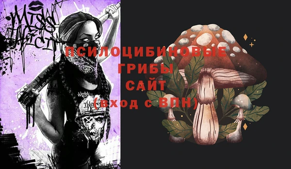 сатива Алексеевка