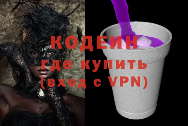 дмт Арсеньев