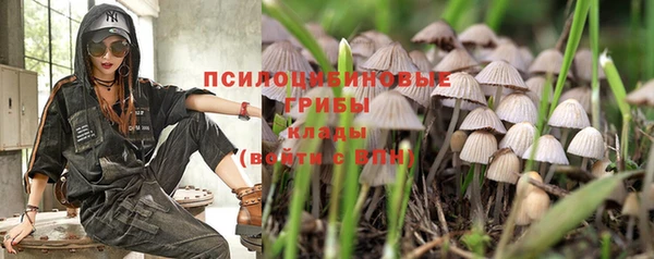 сатива Алексеевка