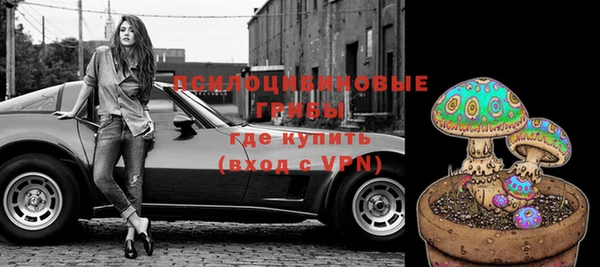 МДПВ Алексин