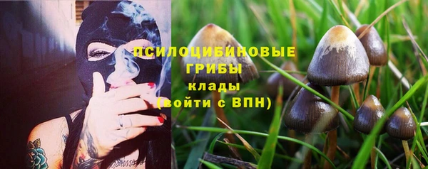 МДПВ Алексин